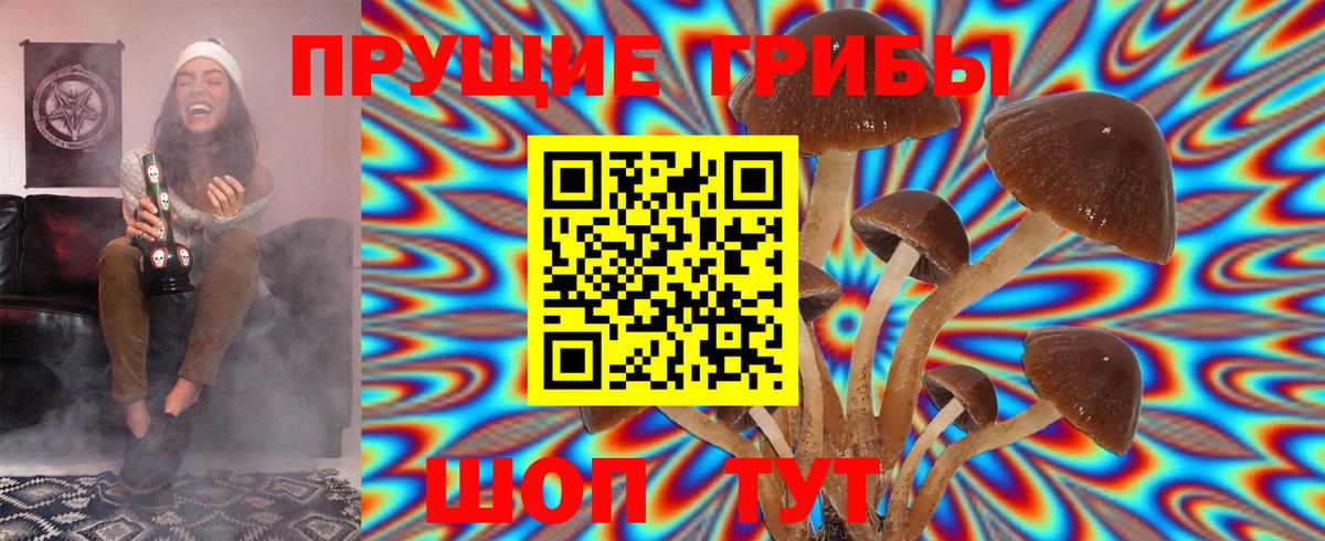 Галлюциногенные грибы MAGIC MUSHROOMS  Псилоцибиновые грибы ЛСД  Асино  Вход с VPN 